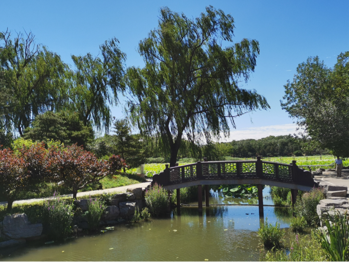 2021-06-17 21:39:03.028000